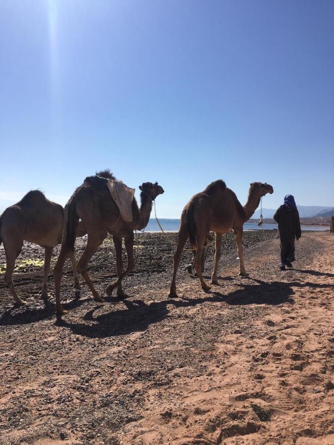 Anne Sinai'S Best Camp & Resturant Hotel Nuweiba Bagian luar foto